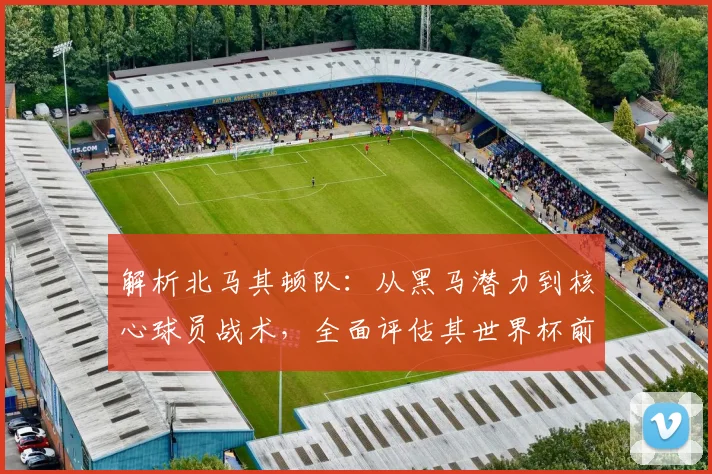解析北马其顿队：从黑马潜力到核心球员战术，全面评估其世界杯前景