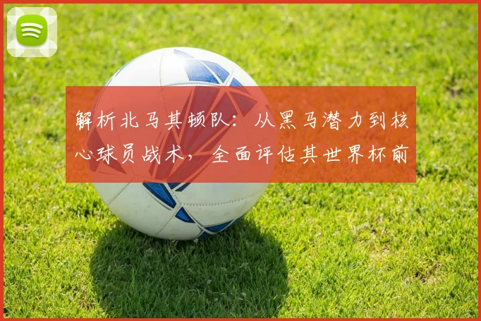 解析北马其顿队：从黑马潜力到核心球员战术，全面评估其世界杯前景